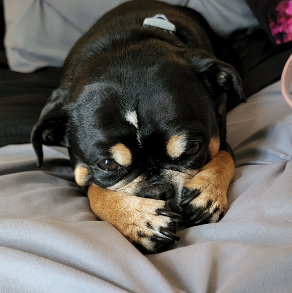 Meet your Posher, Constance - Picture 3 of 10